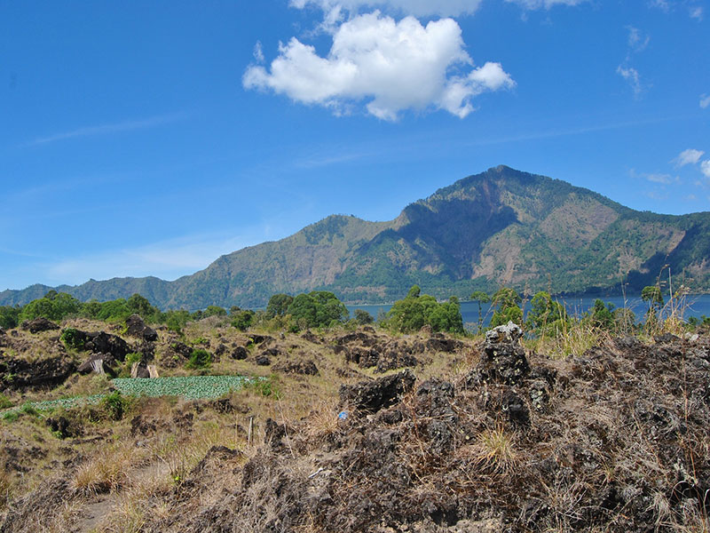 Bali Bagus Tour - Kintamani Volcano